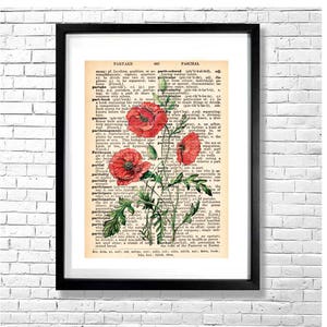 POPPIES Drawing Print Red Poppy Flowers Botanical Watercolor Illustration on an Old Dictionary Page Background Art Print Poster image 1