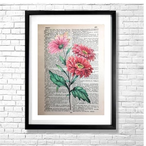 GERBERA DAISY Desenho Impressão - Vermelho Rosa Vintage Antigo Botânico Tinta Aquarela Ilustração Antigo Dicionário Livro Página Pintura Arte Pôster