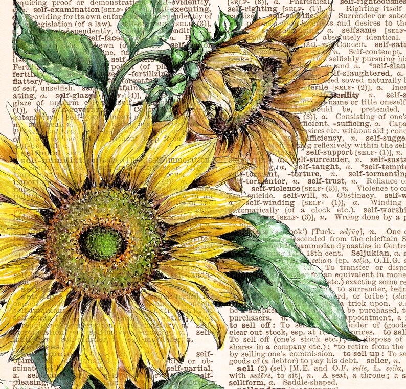 SUNFLOWER PRINT on Dictionary Page Vintage Style Watercolor Etsy