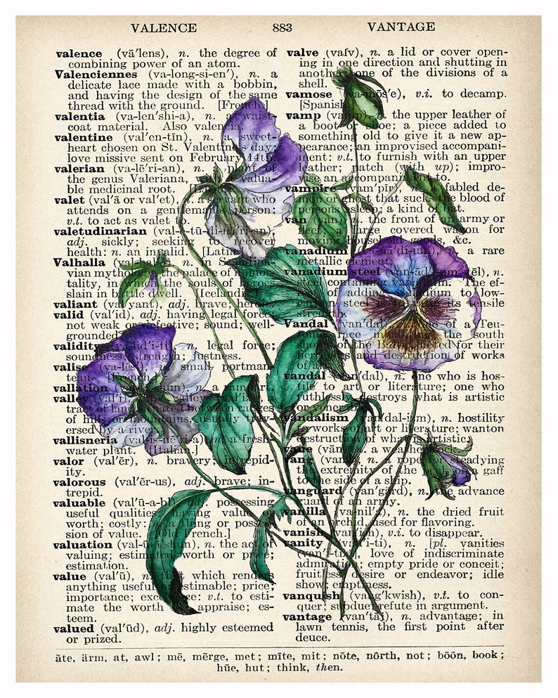 VIOLETS Print on Vintage Dictionary Page Watercolor & Ink - Etsy