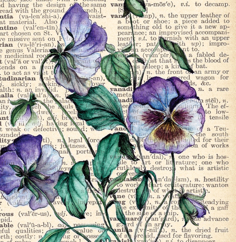 VIOLETS Print on Vintage Dictionary Page Watercolor & Ink - Etsy