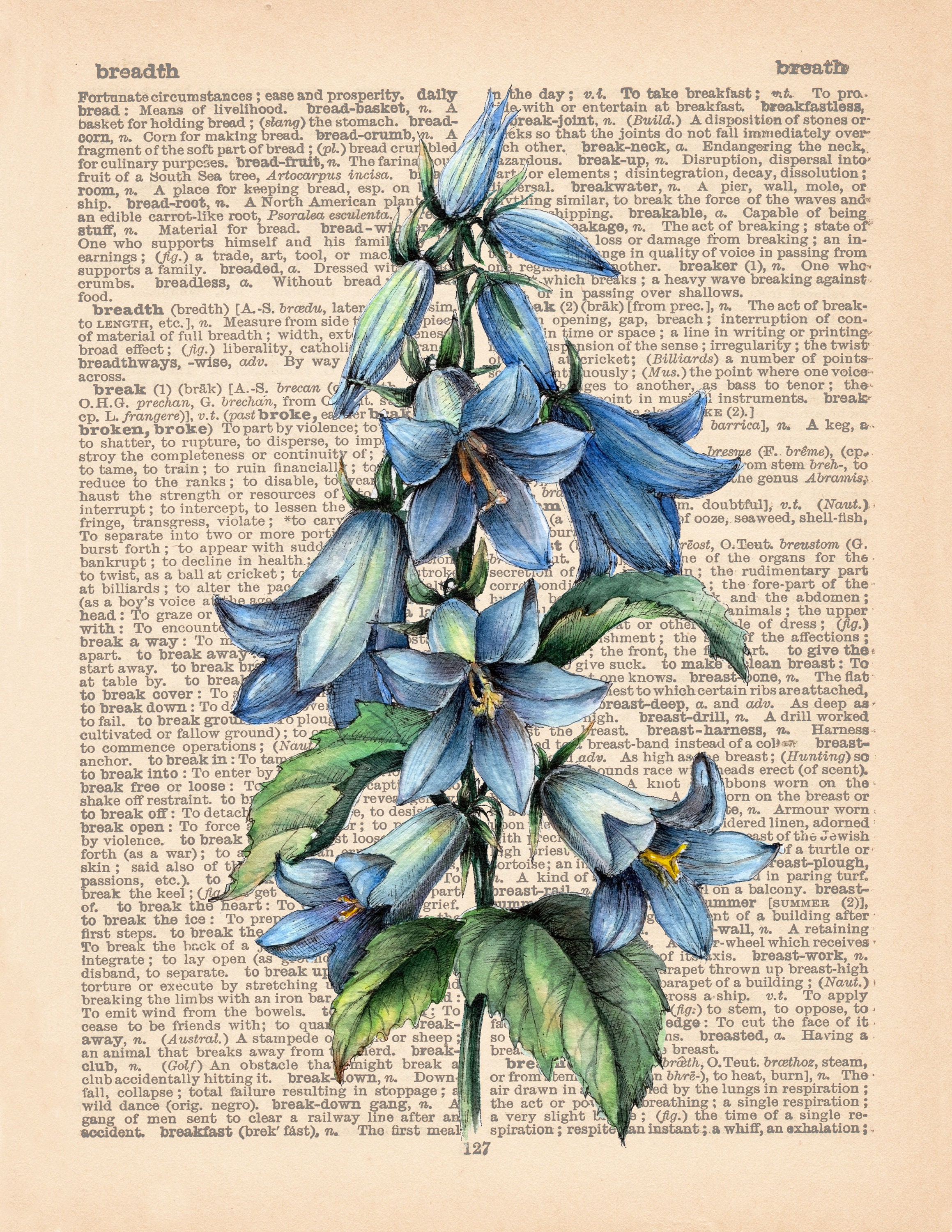 BLUEBELL Flower Drawing Print Vintage Botanical Illustration on Old Sepia  Dictionary Page Background Blue Tan Brown Watercolor & Ink Art 
