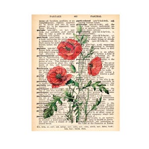 POPPIES Drawing Print Red Poppy Flowers Botanical Watercolor Illustration on an Old Dictionary Page Background Art Print Poster image 2