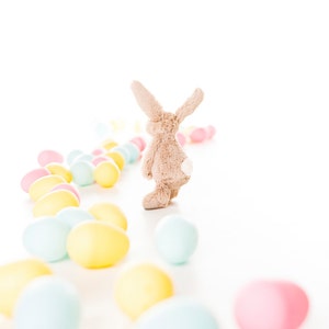 Set di 4 biglietti di auguri pasquali con la fotografia di un coniglietto di peluche.