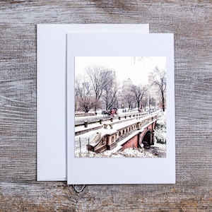 New York Holiday Card, Hansom Cab, Cavallo e carrozza, Neve, Fotografia invernale, New York City, NYC, Manhattan, Set di biglietti di auguri, Fatto a mano