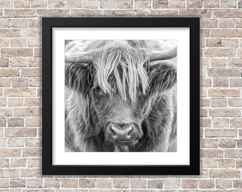 Highland Cow Print, Scottish Cow Print, Cow Print, Highland Cow Photo, Black and White Highland Cow, Scotland Highland Cow, Wall Print