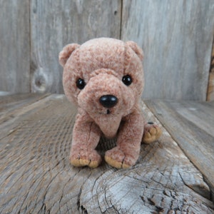 Braunbär Plüsch Pecan Beanie Baby Ty 1999 Kuscheltier Cub