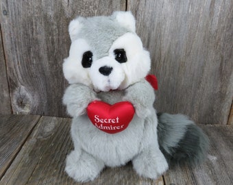 dakin raccoon