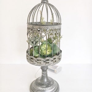 Lighted succulent arrangement - pedestal bird cage decor - vintage style table top centerpiece