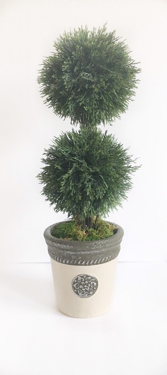 Cypress Tree Double Ball Topiary In Ceramic Pot Farmhouse Front Door Planter Decor Front Porch Accent Plant Centerpiece