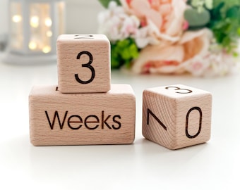 Wooden Baby Milestone Blocks:  Month Pregnancy Countdown Photo Prop