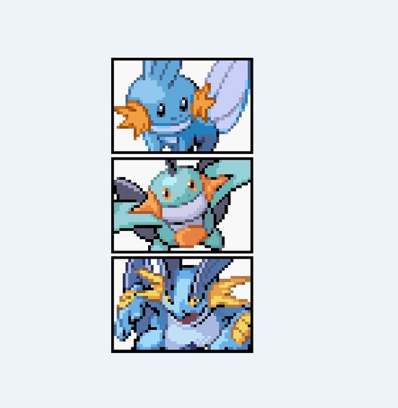 mudkip evolutions