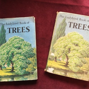 Ladybird Book of Trees series 536.