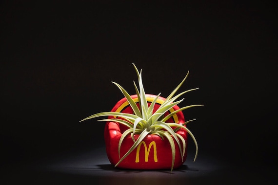 MCDONALDS FRIES PLANTER