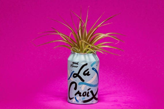 PURE LA CROIX planter