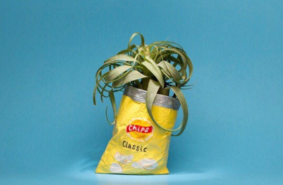 LAYS CHIP BAG planter