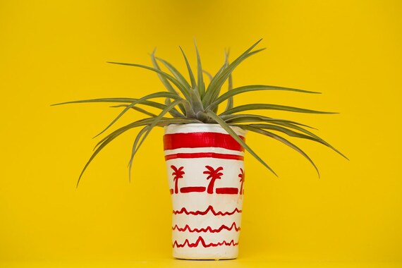 IN.N.OUT cup planter