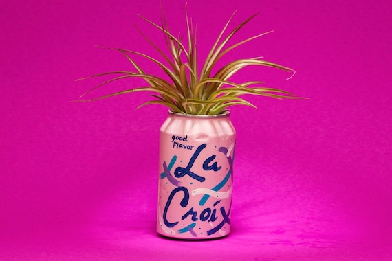 BERRY LA CROIX planter
