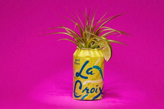 LEMON/LIME la croix / la croix planter