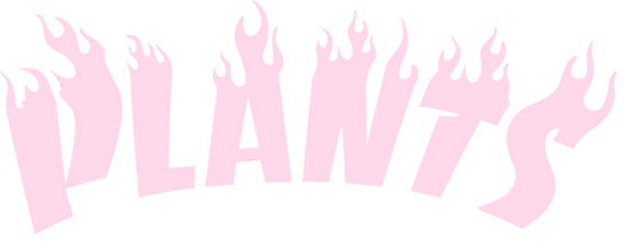 PINK PLANTS TEE // preorder