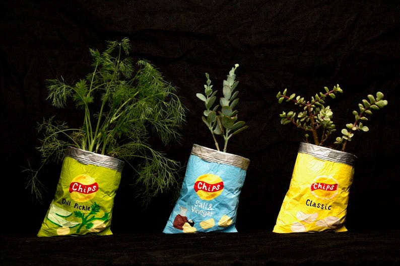 LAYS CHIP BAG planter Etsy