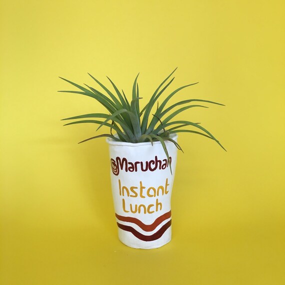 RAMEN NOODLE PLANTER
