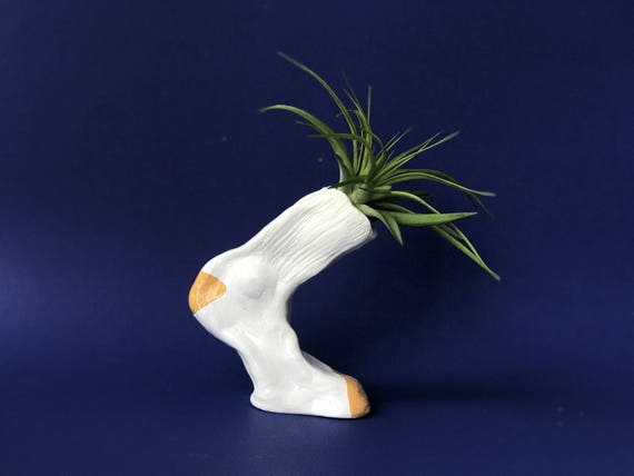 PLAIN OLE SOCK