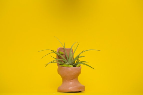 TOILET PLANTER / mauve - lime green