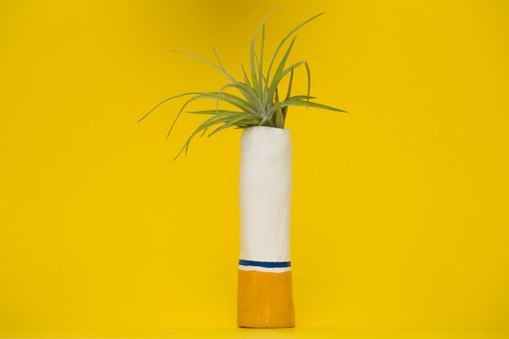 CIGARETTE PLANTER