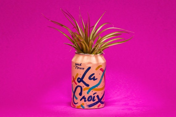 PAMPLEMOUSSE LA CROIX planter