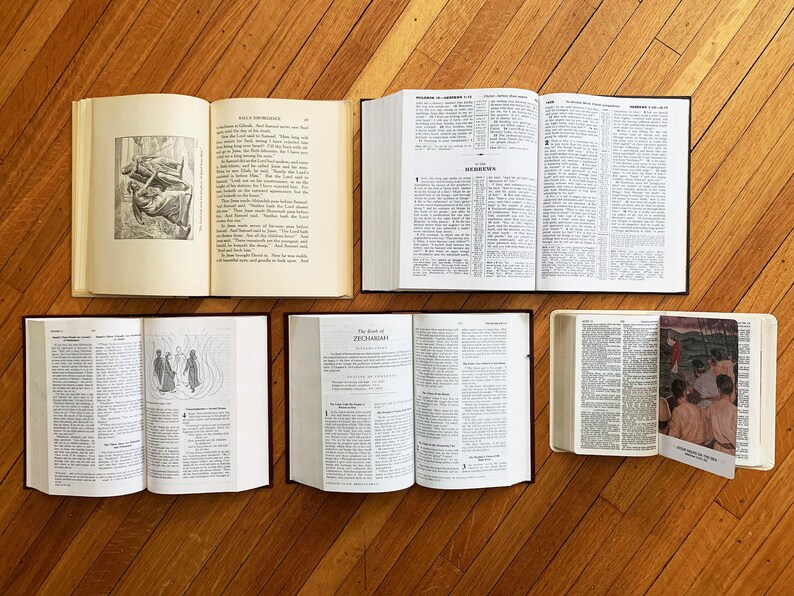 Op de afbeelding: Een bovenaanzicht van vijf open boeken met tekst en illustraties, gerangschikt op een houten oppervlak. De pagina's zijn cr&egrave;mekleurig en de kaften zijn zwart. E&eacute;n boek heeft een bladwijzer met een kleurenfoto.
