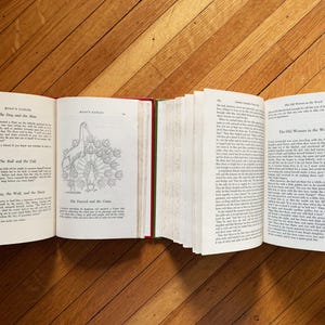 The Family Treasury Book Children's Books for Children Vintage Books Aesops Fables Antique Books Decor Books for Kids Books Old Books Kids afbeelding 9