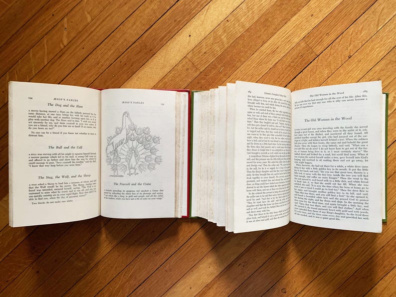 The Family Treasury Book Children's Books for Children Vintage Books Aesops Fables Antique Books Decor Books for Kids Books Old Books Kids afbeelding 9