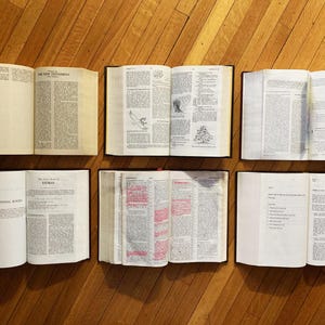 May include: Six open books with brown covers and white pages. The books are arranged in two rows of three. The top row includes books titled "The New Testament" and "Lamentations". The bottom row includes books titled "Some Additional Books" and "The Holy Bible - Ezra".