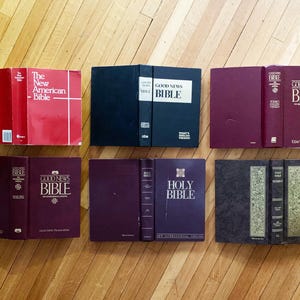 May include: A collection of eight different bible books, including The New American Bible, Good News Bible, and Holy Bible. The books are arranged in two rows of four, with the spines facing the viewer.