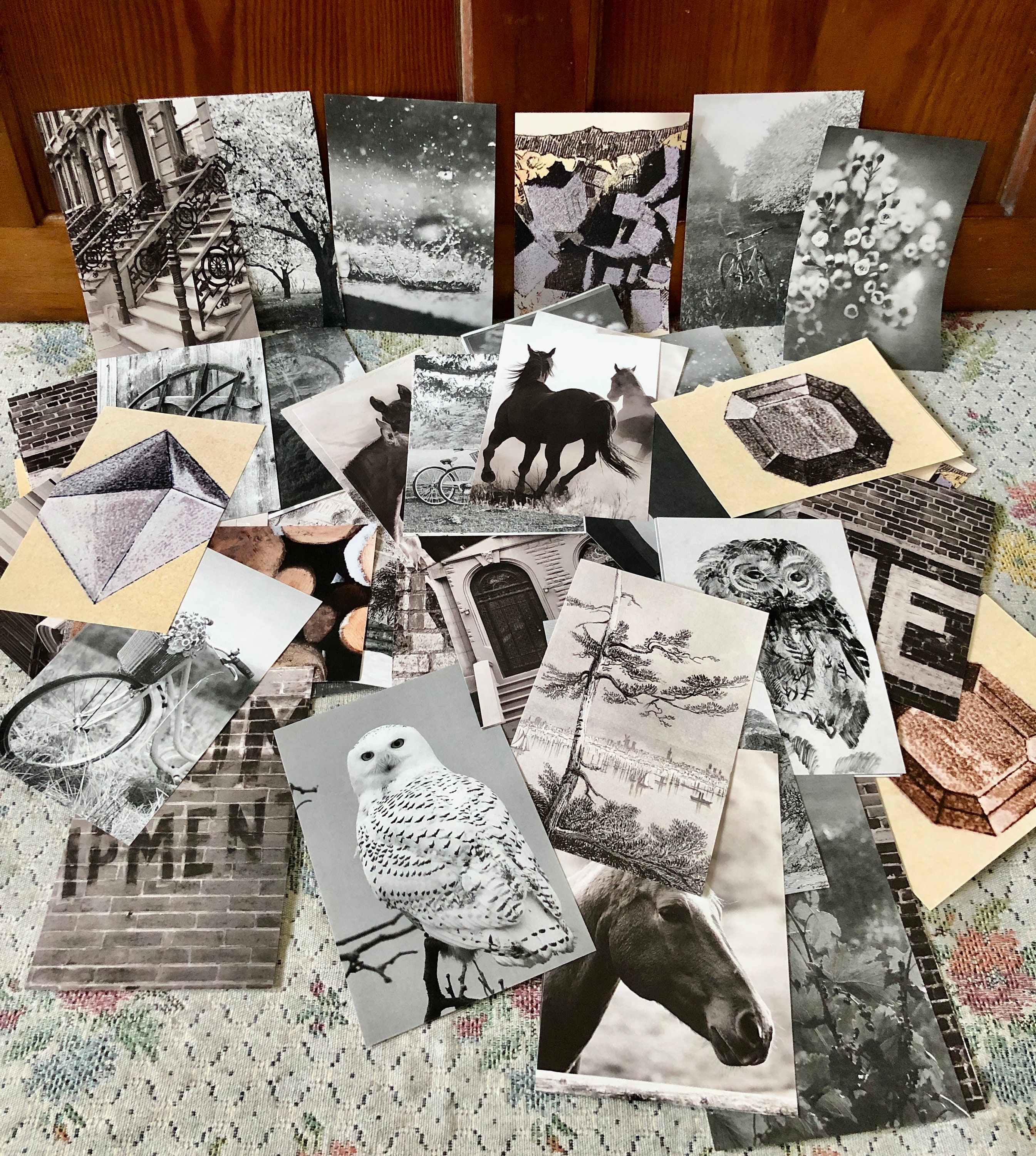 213 Photographs Prints Wall Art Photo Lot of Photos Wall Display Art Photo Prints Art Photos for Frame Gallery Wall Art Gallery Wall Photos