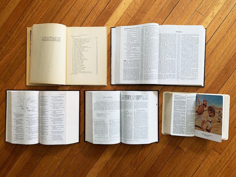 Op de afbeelding: Een bovenaanzicht van verschillende open boeken op een houten oppervlak. De boeken vari&euml;ren in grootte en inhoud, met tekst en illustraties. De pagina's zijn cr&egrave;mekleurig en de kaften zwart of wit.