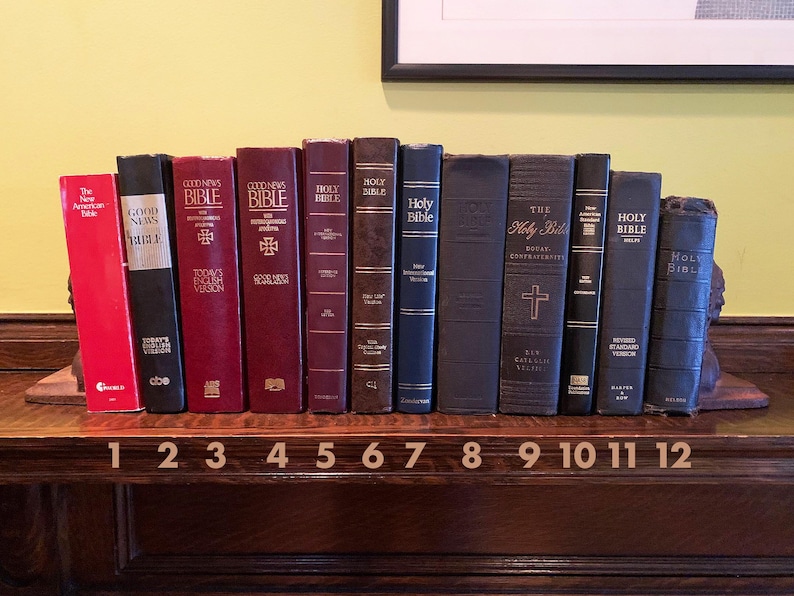 May include: A shelf displaying 12 different versions of the Holy Bible, including the Good News Bible, the New American Bible, and the Holy Bible, New International Version. The Bibles are arranged in a row from left to right, with the numbers 1 through 12 printed on the shelf below them.