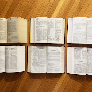 May include: Six open books with brown covers and white pages. The books are arranged in two rows of three. The books are titled "The Holy Bible", "I. Kings", "Jeremiah", and "Ezekiel".