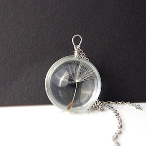 Pusteblume Halskette Echte Pusteblumen Samen Schmuck Glücksbringer Echte Blume Schmuck Natur Halskette Glas Flasche Halskette Glas Tropfen