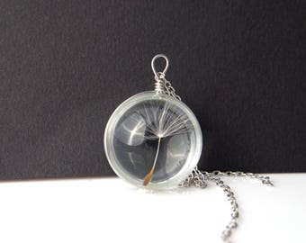 May include: A silver chain necklace with a clear glass pendant containing a dried dandelion seed head.
