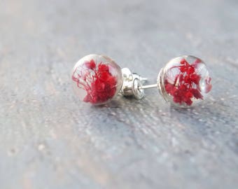 Red flower stud earrings natural flower  jewelry small real flower earrings daisy flower botanical glass globe  birthday gift Mother's Day