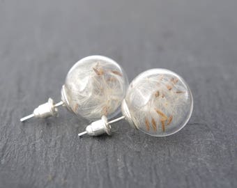 Dandelion stud earrings Real flower earrings Dandelion seed Nature jewelry Christmas gift for her Glass earrings Eco friendly Gift for mom