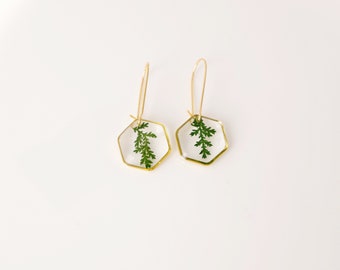 Véritable feuille de fougère pressée dans des boucles d'oreilles en résine Botanical Jewelry Terrarium Jewelry Mothers day gift for mom real flower jewelry