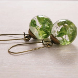 Boucles d'oreilles fougères véritables Boucles d'oreilles mini terrarium Boucles d'oreilles fleurs Bijoux feuilles séchées Bijoux botaniques Cadeau de Noël inspiré de la nature pour elle