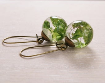 Boucles d'oreilles fougères véritables Boucles d'oreilles mini terrarium Boucles d'oreilles fleurs Bijoux feuilles séchées Bijoux botaniques Cadeau de Noël inspiré de la nature pour elle