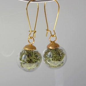 Green moss earrings Terrarium  botanical earrings Real moss earrings St Patrick day gift for her