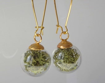 Terrarium Moss Earrings: Real Botanical Orb Earrings