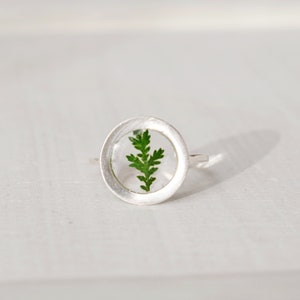 Bague en résine de fougère pressée : bijoux botaniques pour terrarium, bague en argent réglable