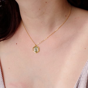 Halskette mit echtem gepresstem Farnblatt in Harz Muttertagsgeschenk für Mutter Terrarium Schmuck Botanischer Schmuck Goldkette